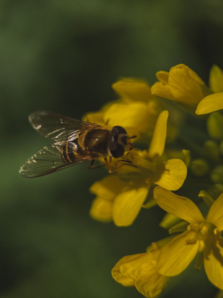 Photograph by Александра Кишикова