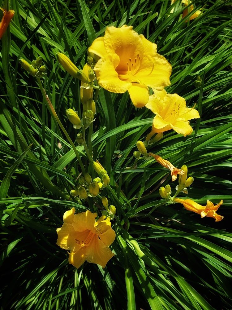 Photograph by Нина Паршина