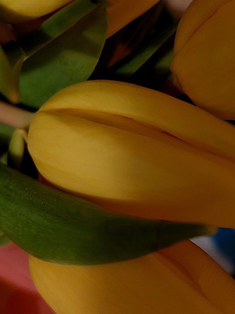 Photograph by Нина Паршина