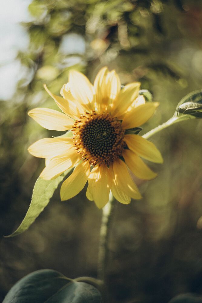 Photograph by Ольга Солодилова