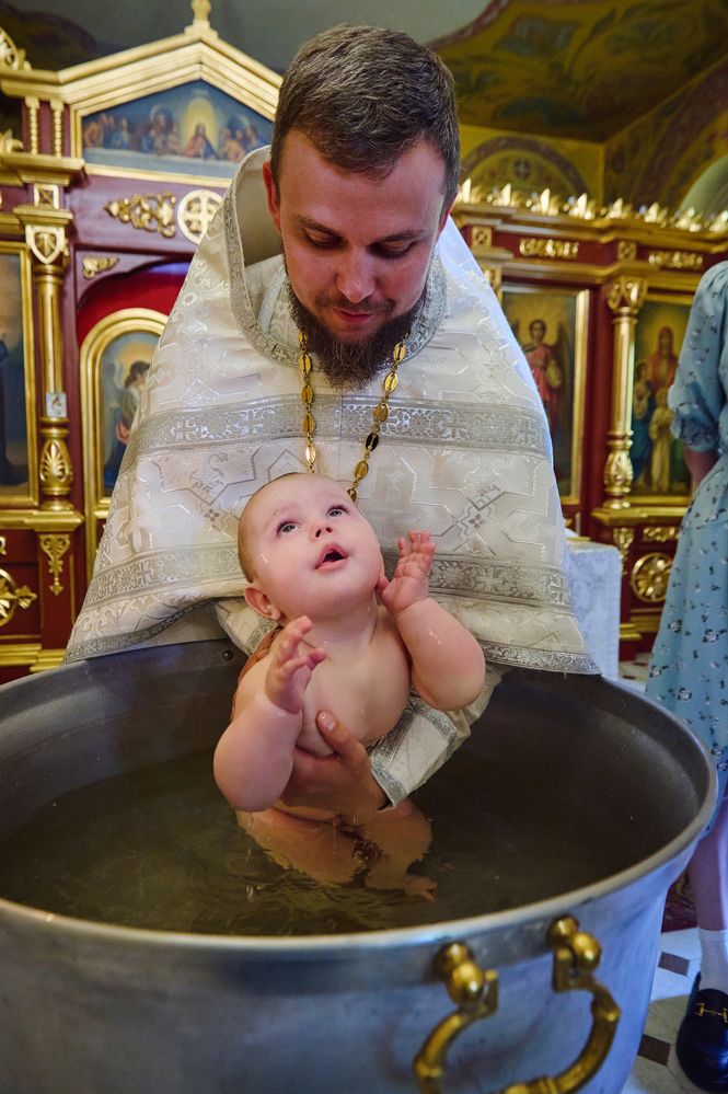 Фотография автора Александр Жданов