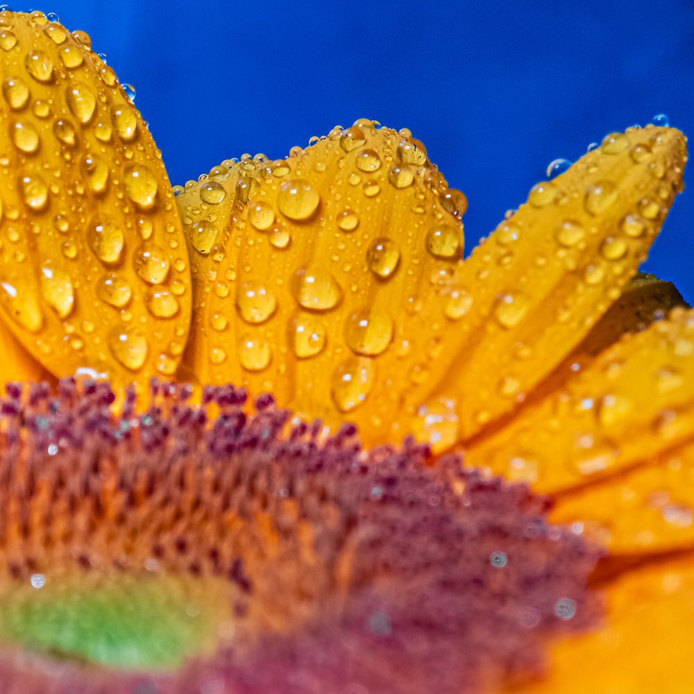 Photograph by Старк Ярослав