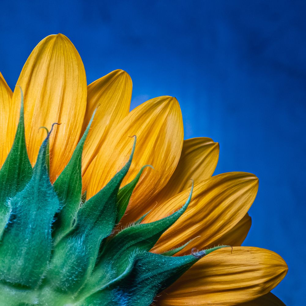 Photograph by Старк Ярослав