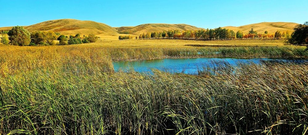 Photograph by Наталья Анисимова