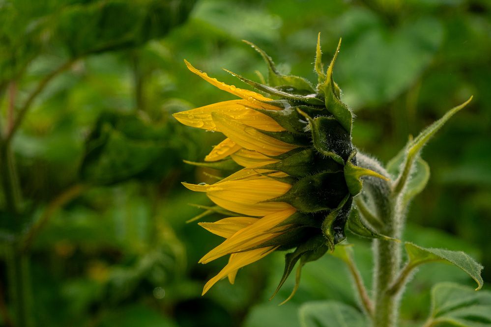 Photograph by Renee Johansson