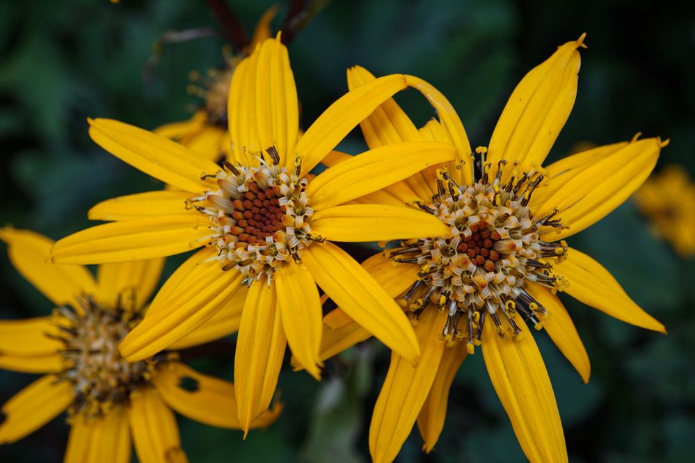 Photograph by Наталья Мубаракшина