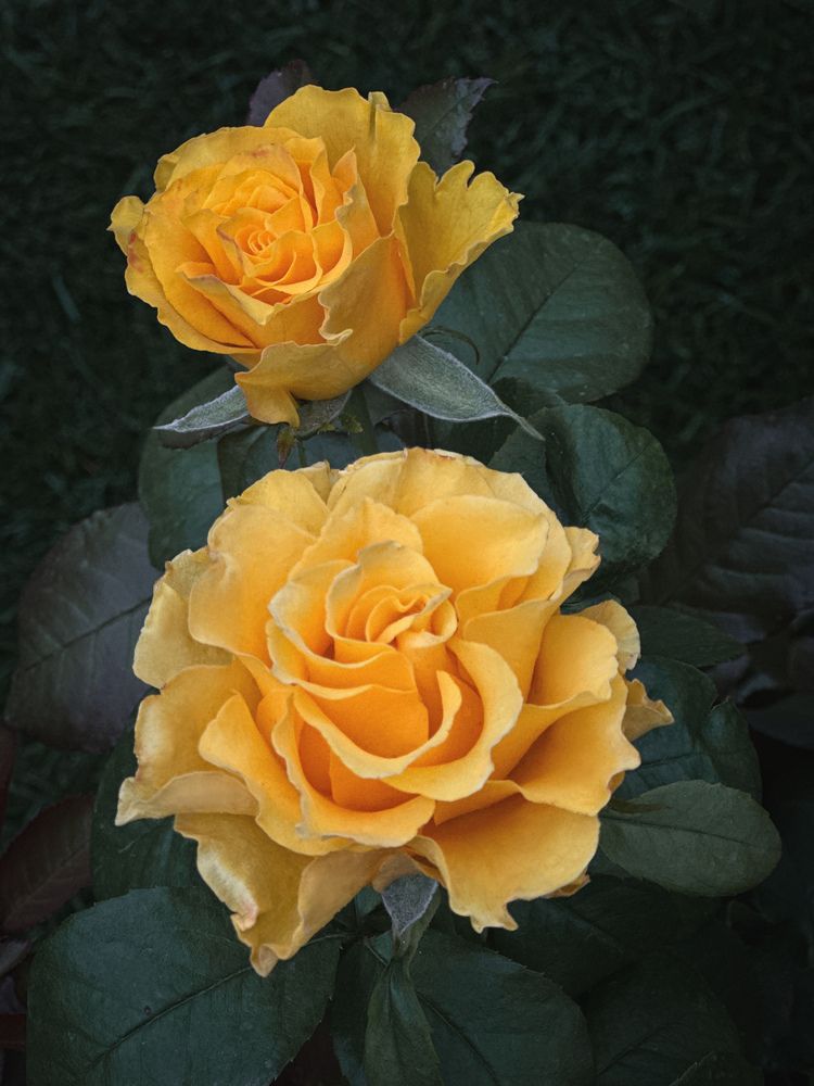 Photograph by Наталья Мубаракшина