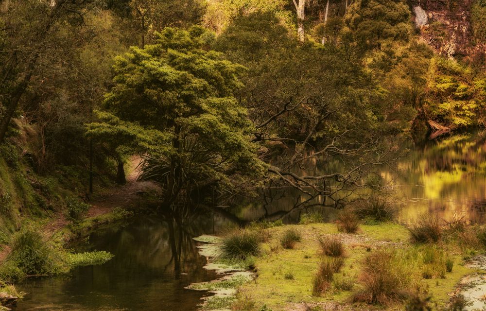 Photograph by Алена Ерошкина