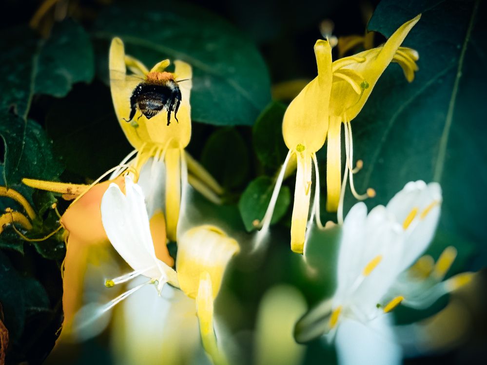 Photograph by Ирина Куренкова