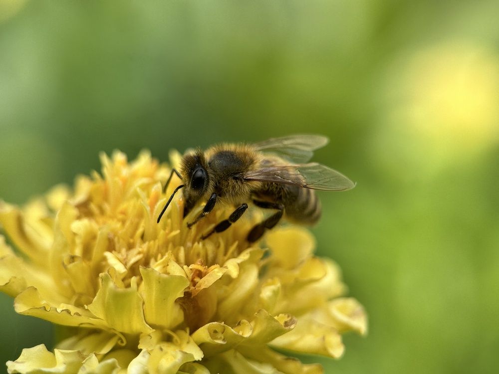 Photograph by Наталья Мубаракшина