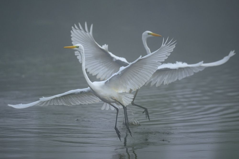 Photograph by Пупонин Сергей