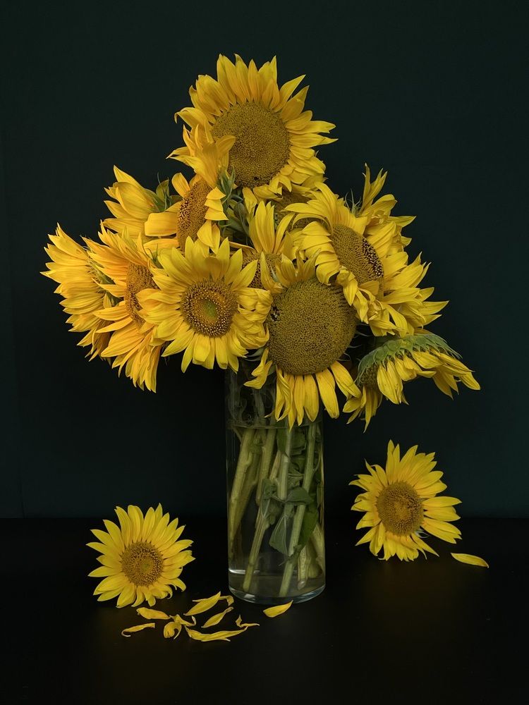 Фотография автора Рамзия Хисамутдинова