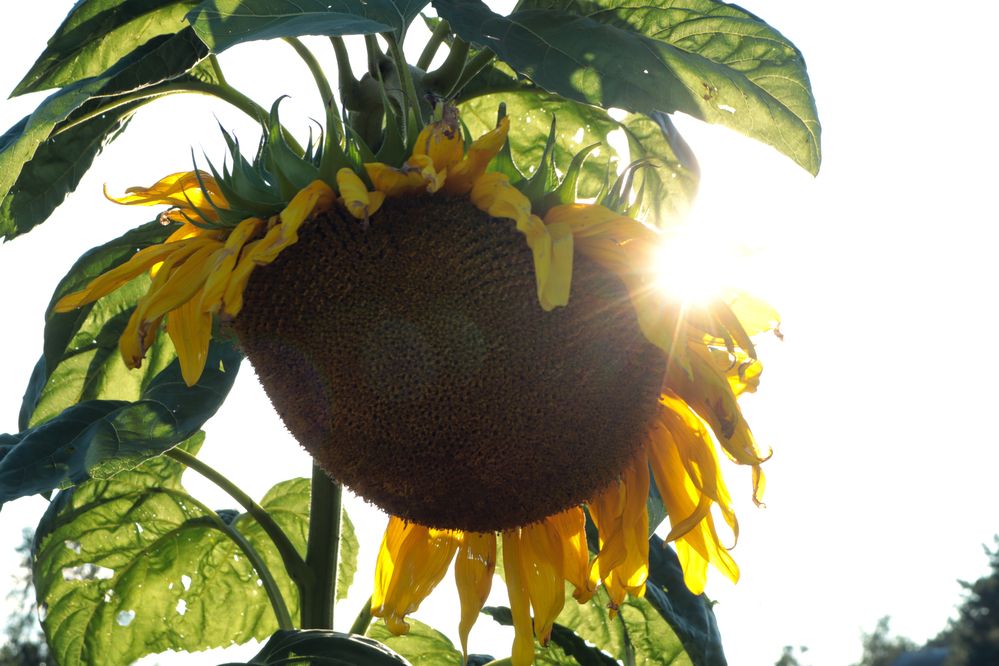 Photograph by Мария Самолевич