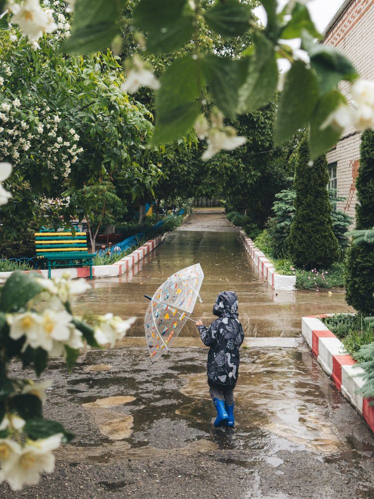 Photograph by Анна Голубцова