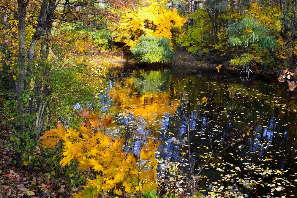 Фотография автора ВЛАДИМИР Тертышник