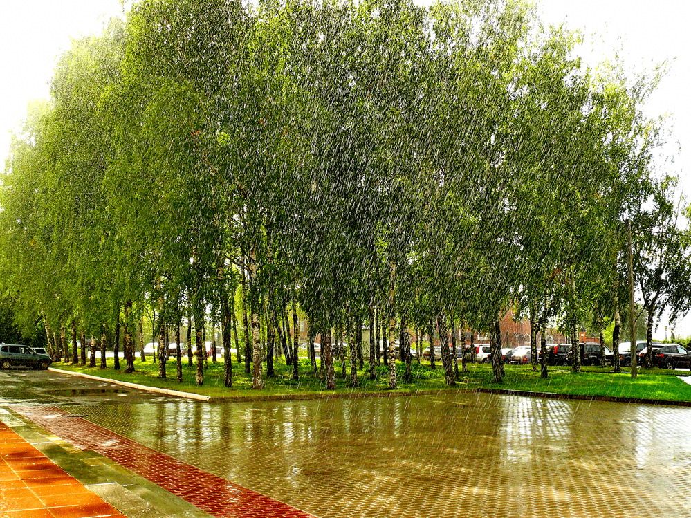 Фотография автора Анатолий Борисов