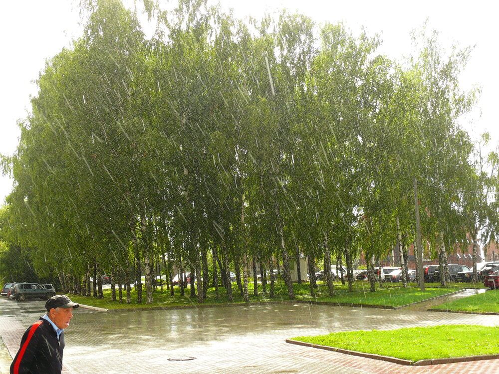 Фотография автора Анатолий Борисов