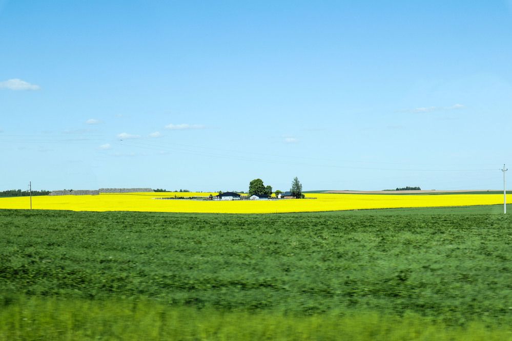 Photograph by Мария Самолевич