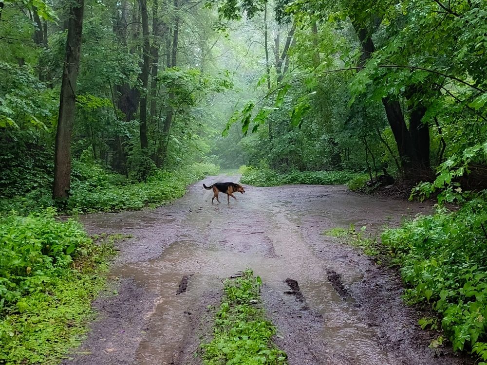 Photograph by Кондрашова Светлана