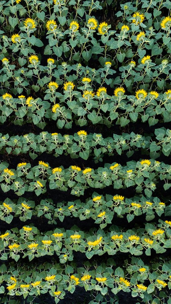 Фотография автора Караваев Антон