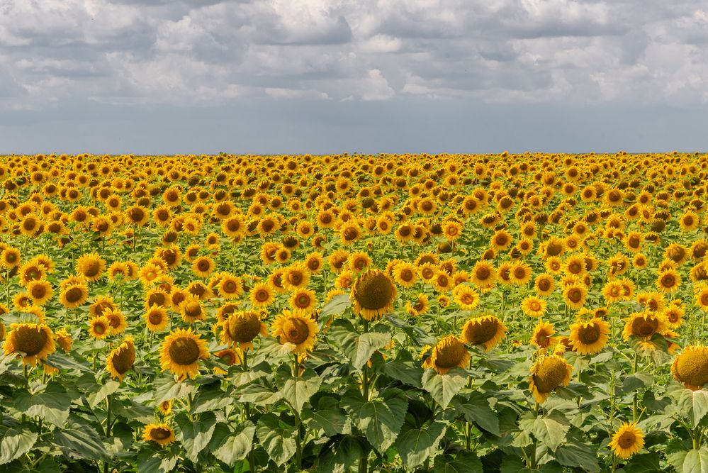 Photograph by Андрей Малыгин