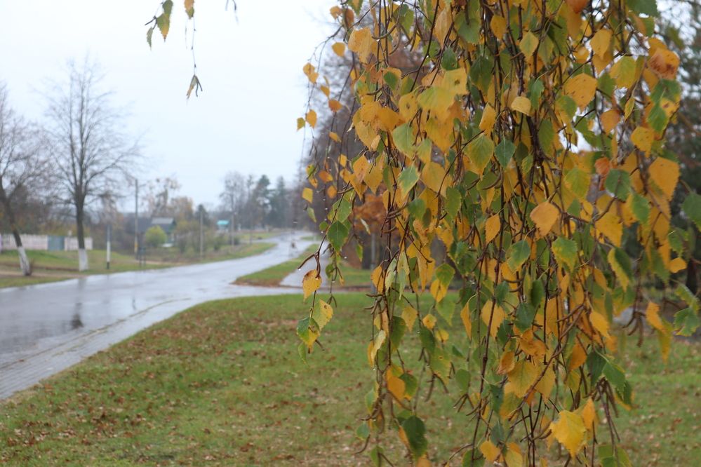 Photograph by Мария Самолевич