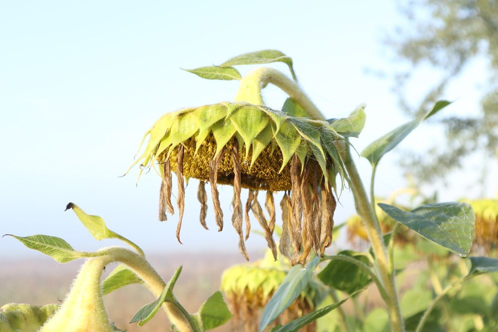 Photograph by Мария Самолевич