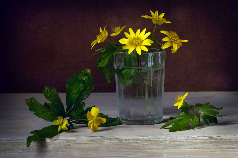 Photograph by Алексеев Сергей