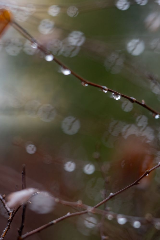 Photograph by Перепёлкина Анастасия