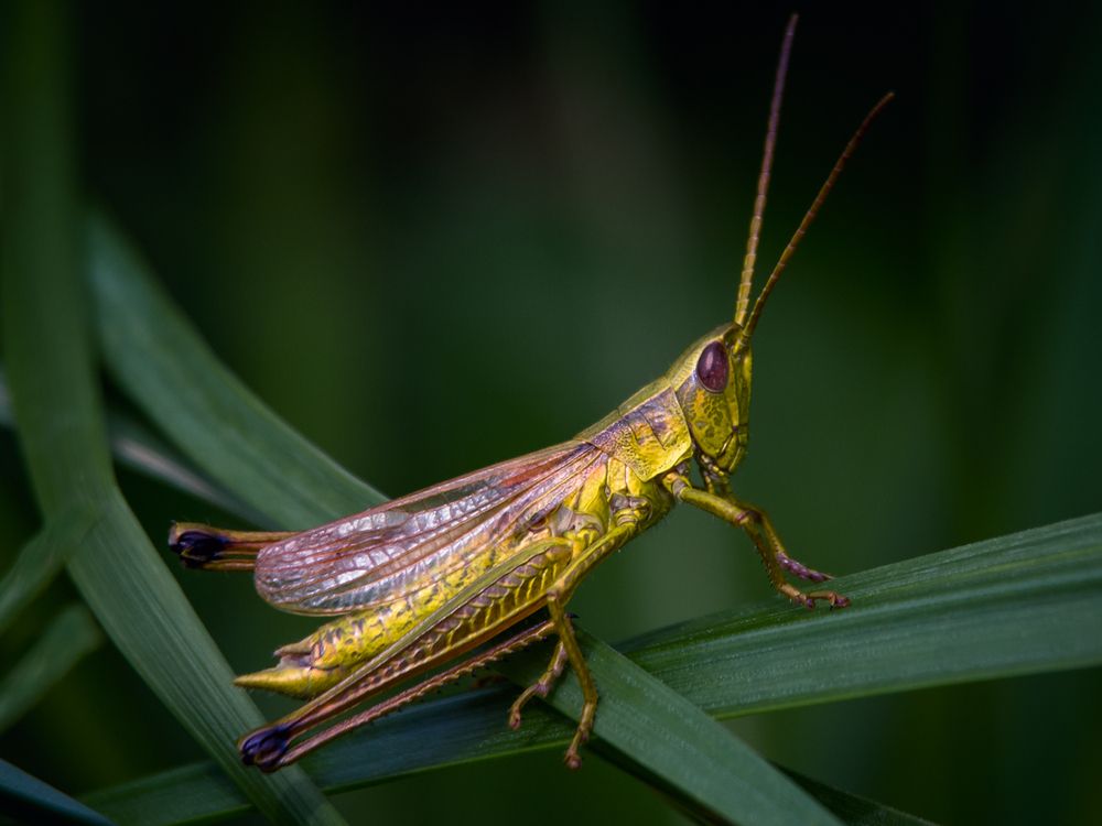 Photograph by Алексеев Сергей