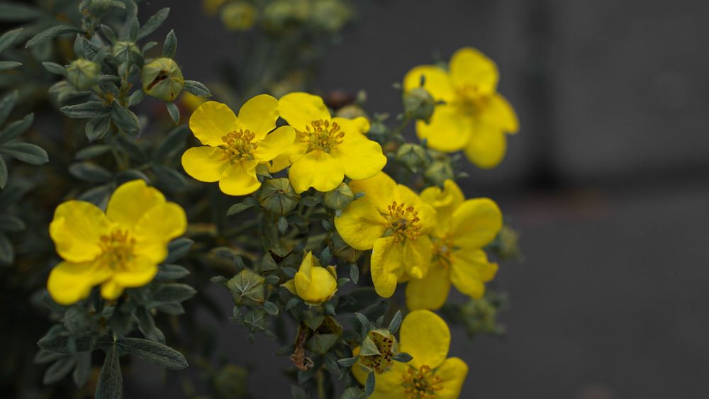 Photograph by Наталья Мубаракшина