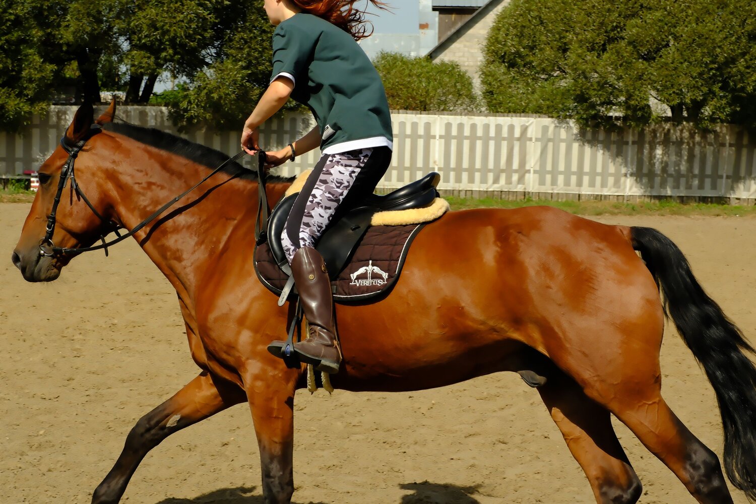 Photo #12620477