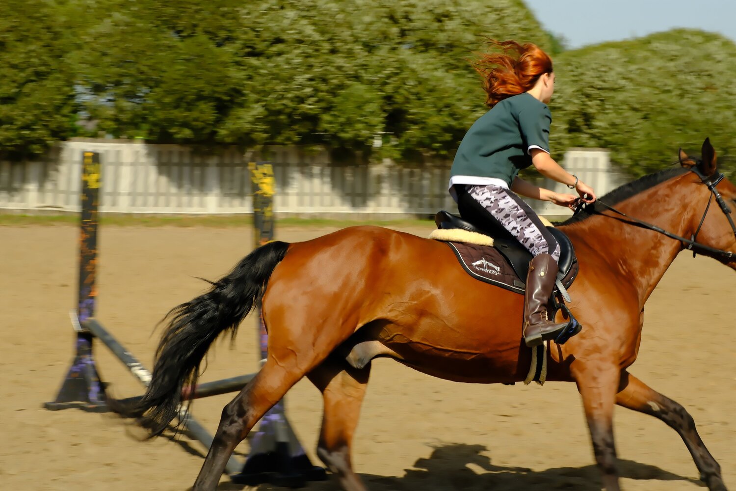 Photo #12620479