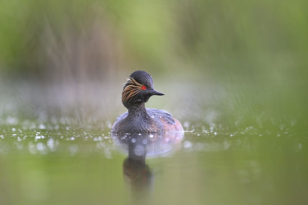 Photograph by Пупонин Сергей