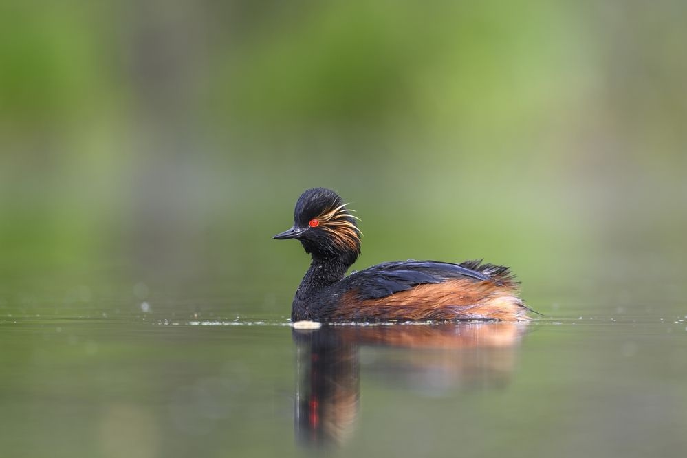 Photograph by Пупонин Сергей
