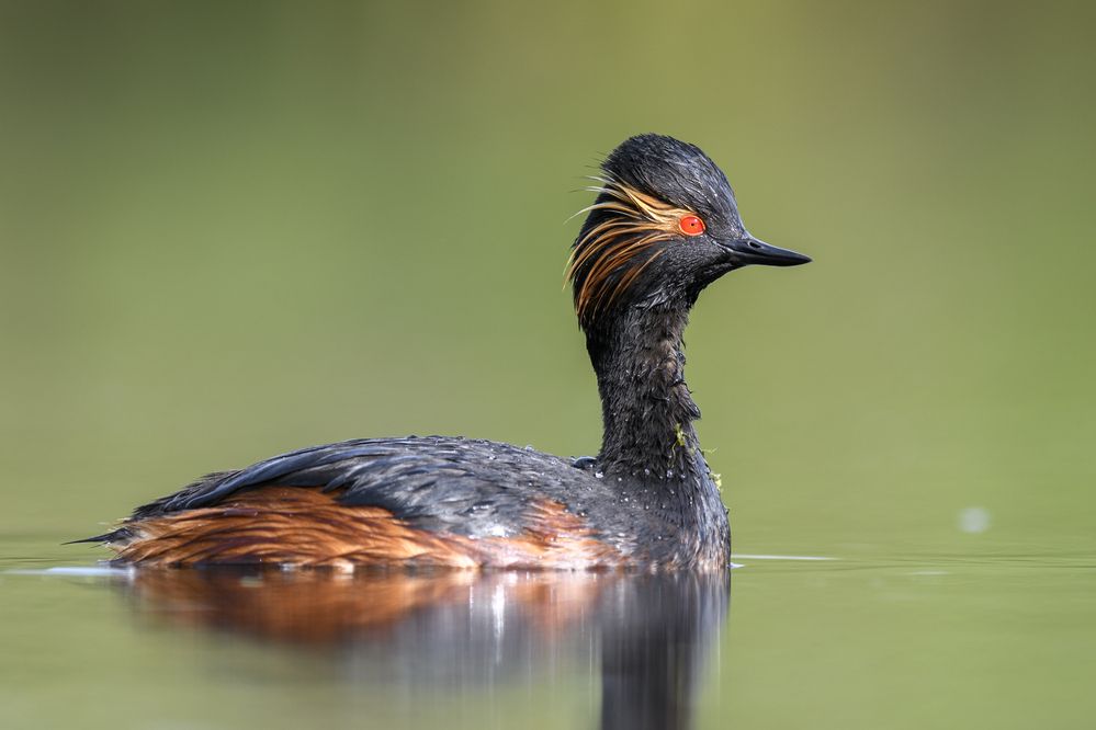 Photograph by Пупонин Сергей