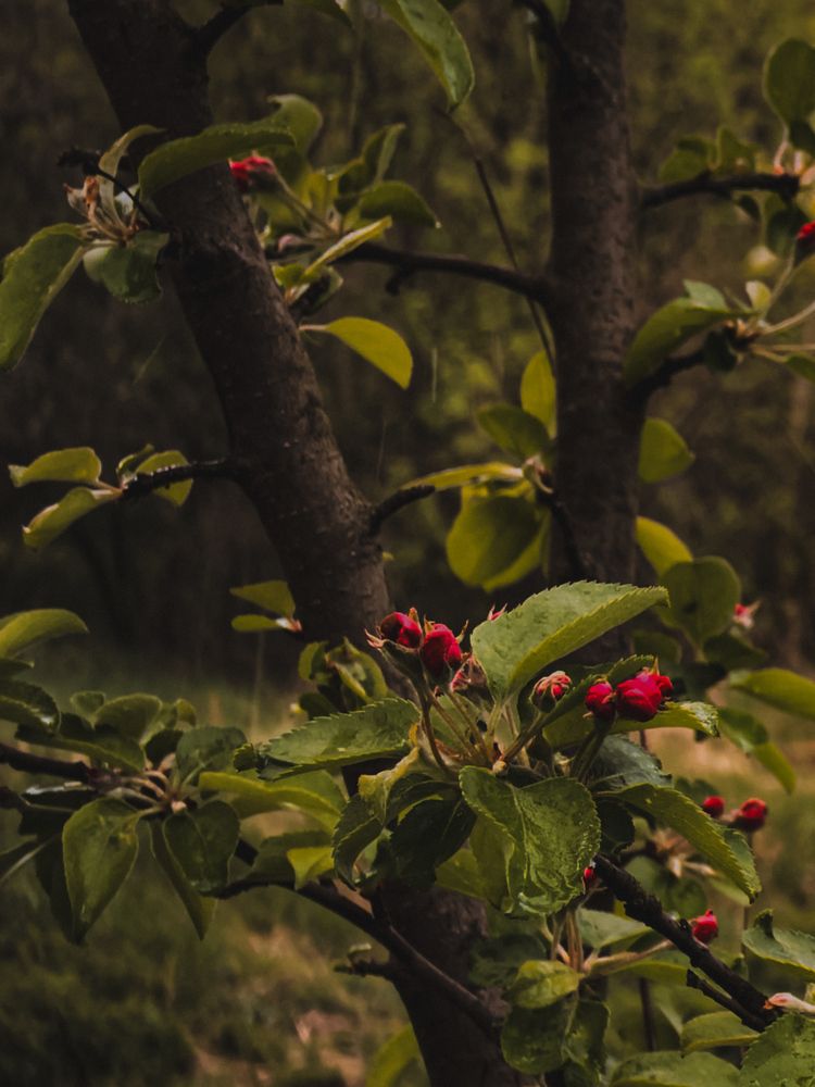 Photograph by Виктория Казакова