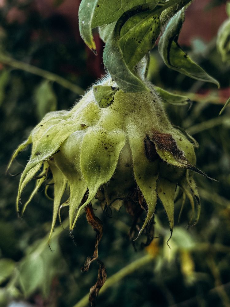 Photograph by Александра Кишикова