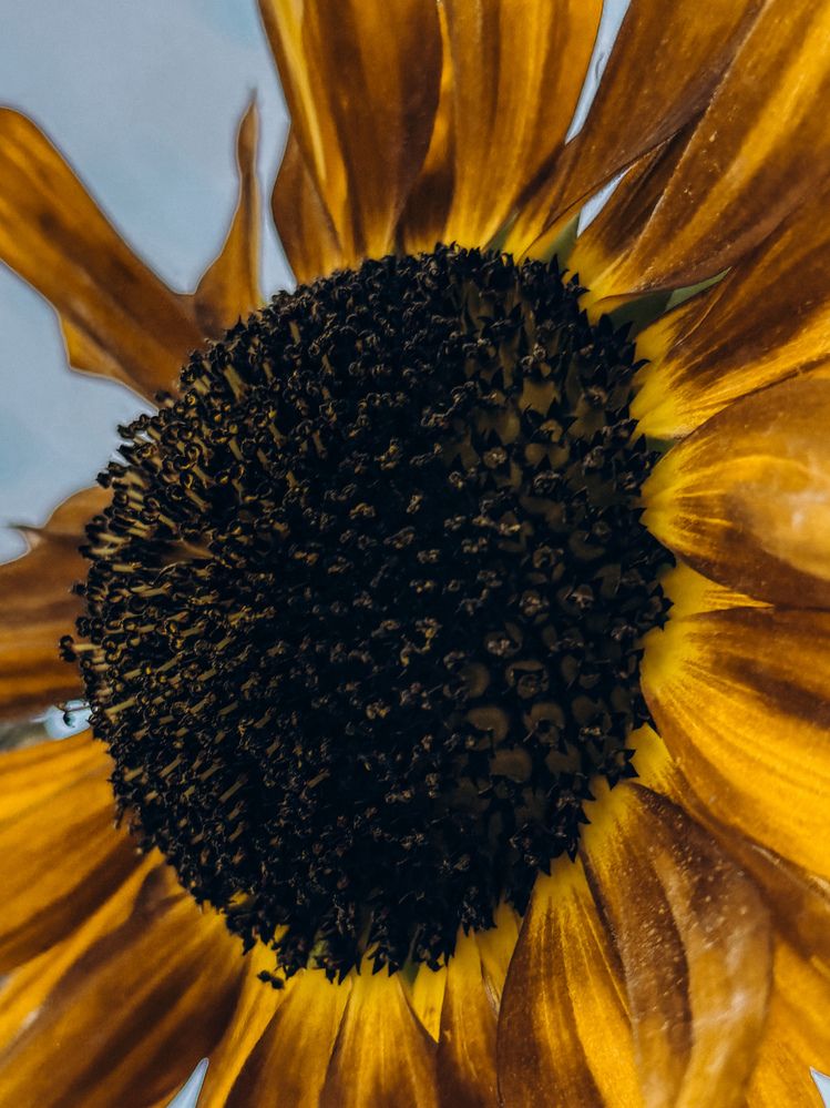 Photograph by Александра Кишикова