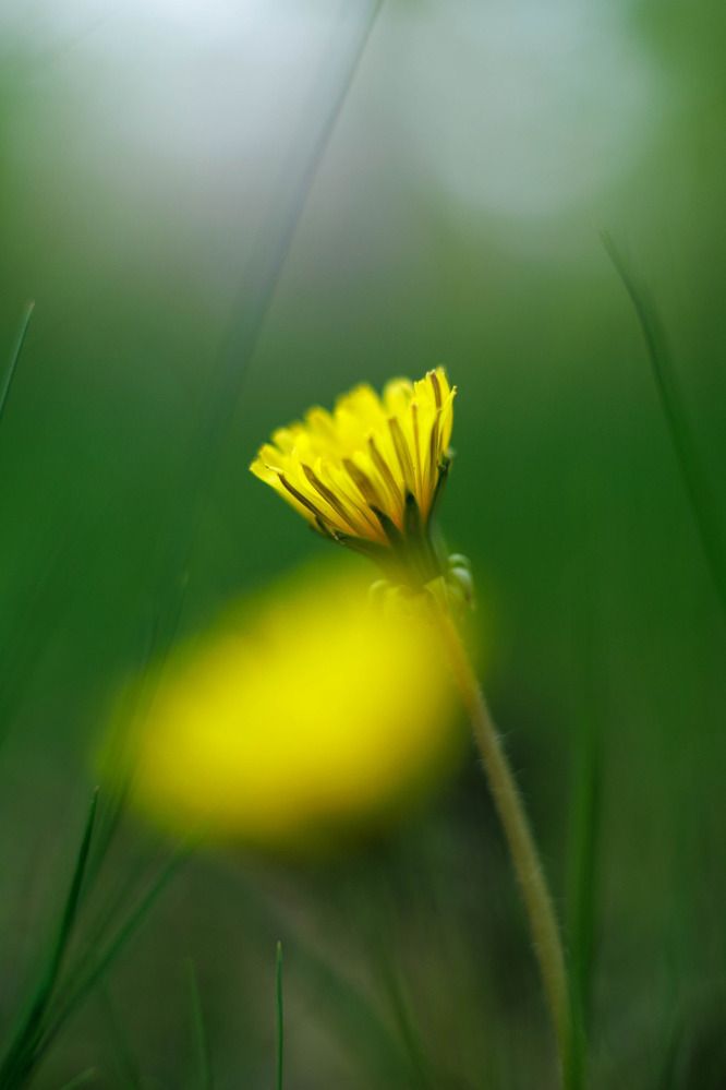 Photograph by Anastasia Kosenkova