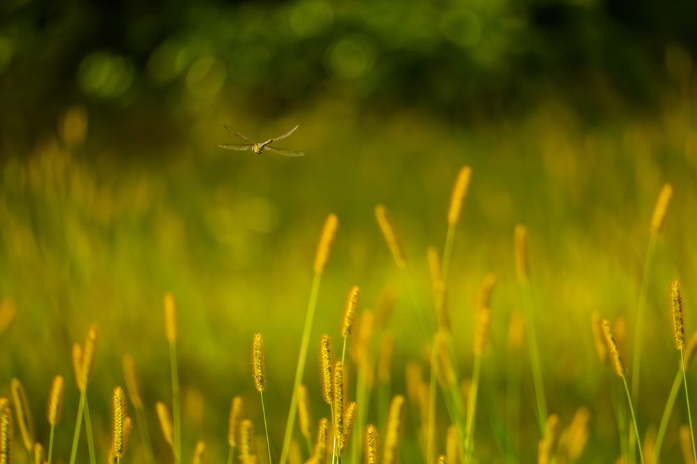 Фотография автора Владимир Хакимов