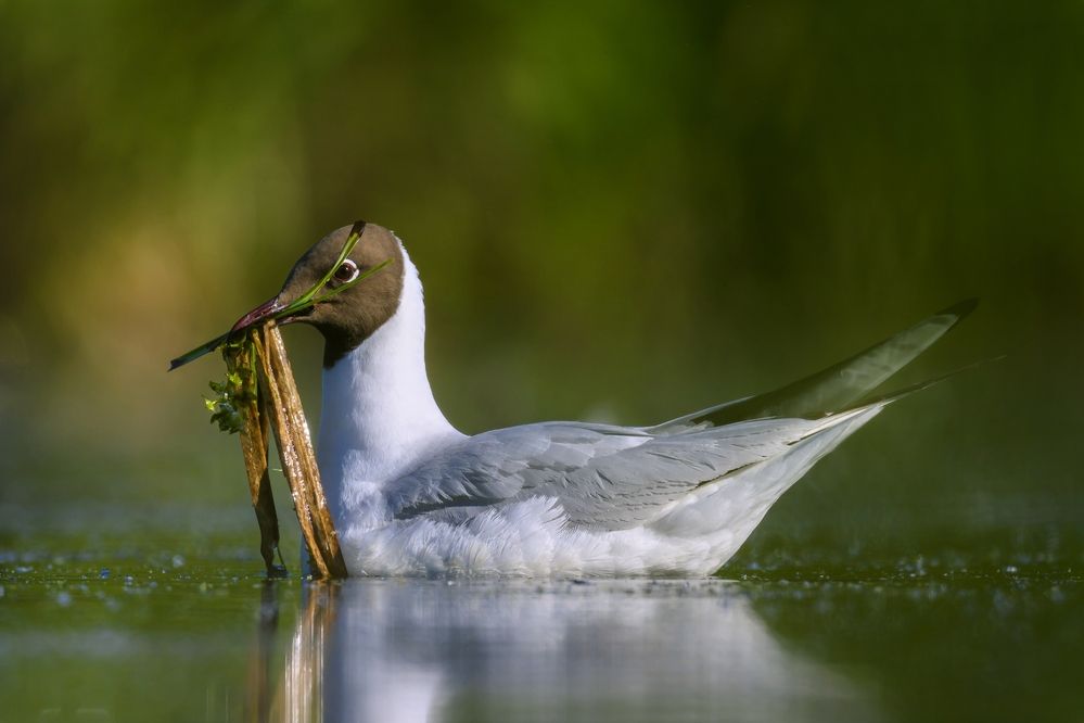 Photograph by Пупонин Сергей