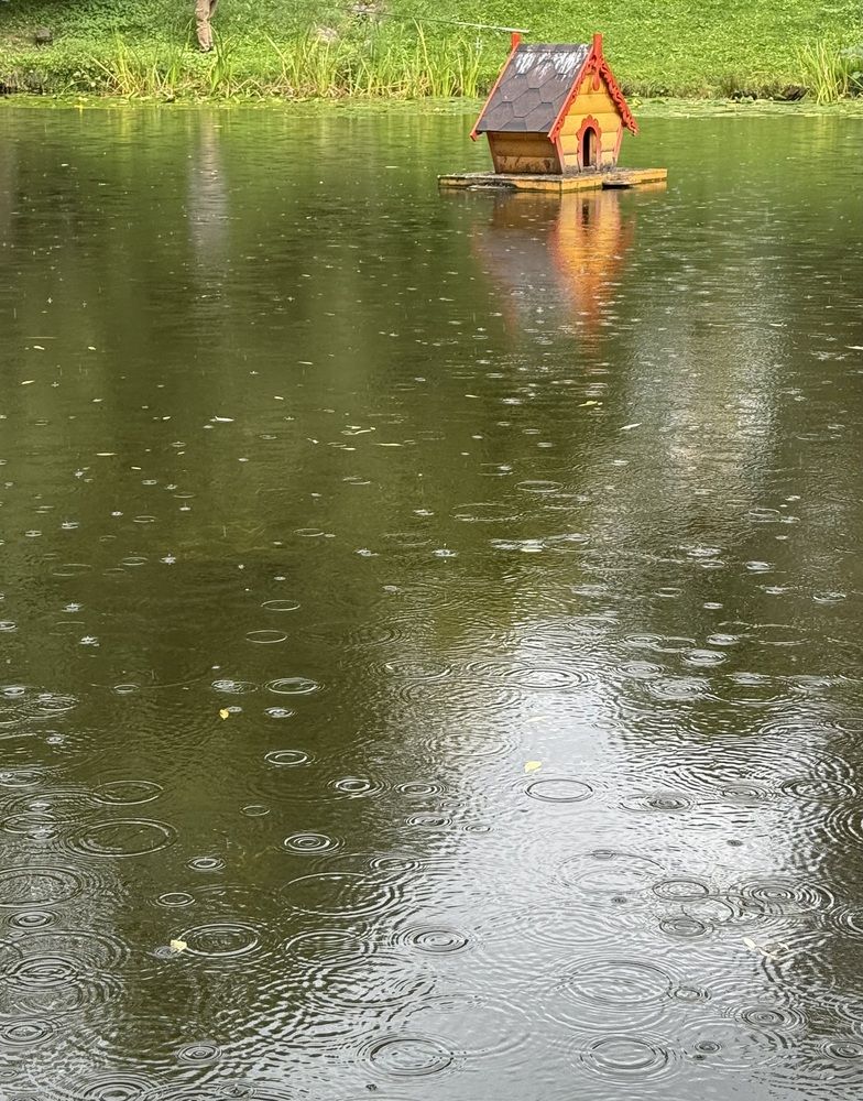 Летний дождь