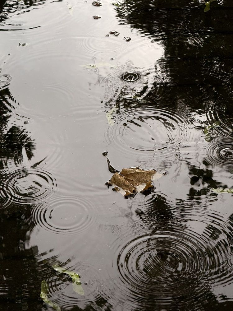 Photograph by Наталья Сережко