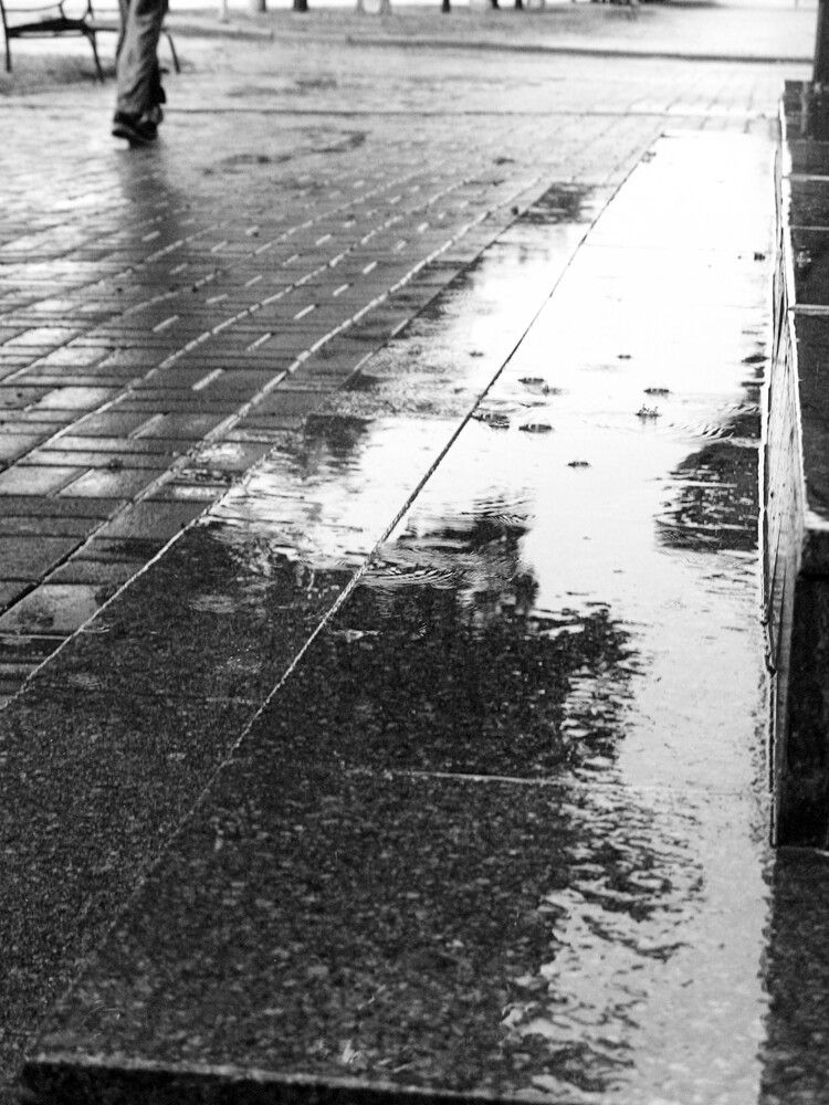 Летний дождь