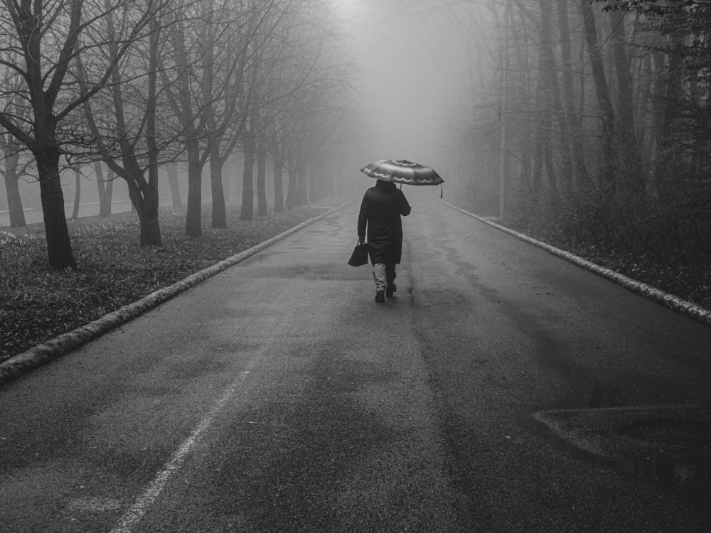 Photograph by Виталий Маслов