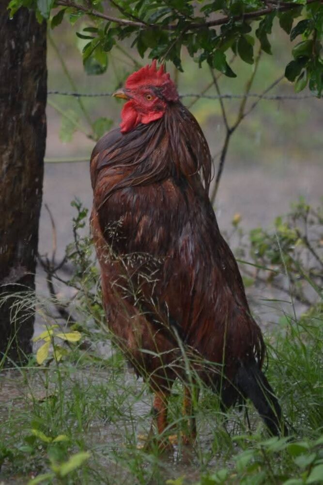 Photograph by Marzio Fattorini