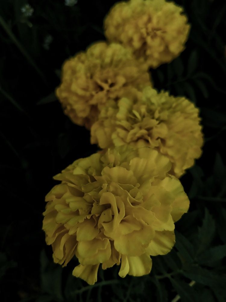 Photograph by Анастасия Псарёва