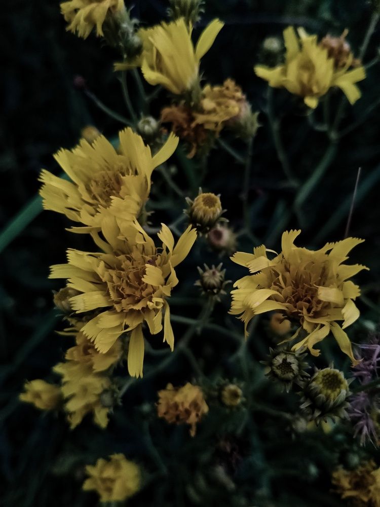 Photograph by Анастасия Псарёва