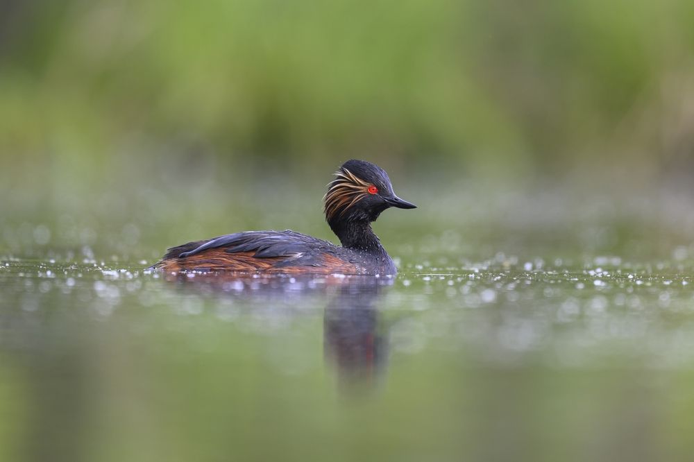 Photograph by Пупонин Сергей